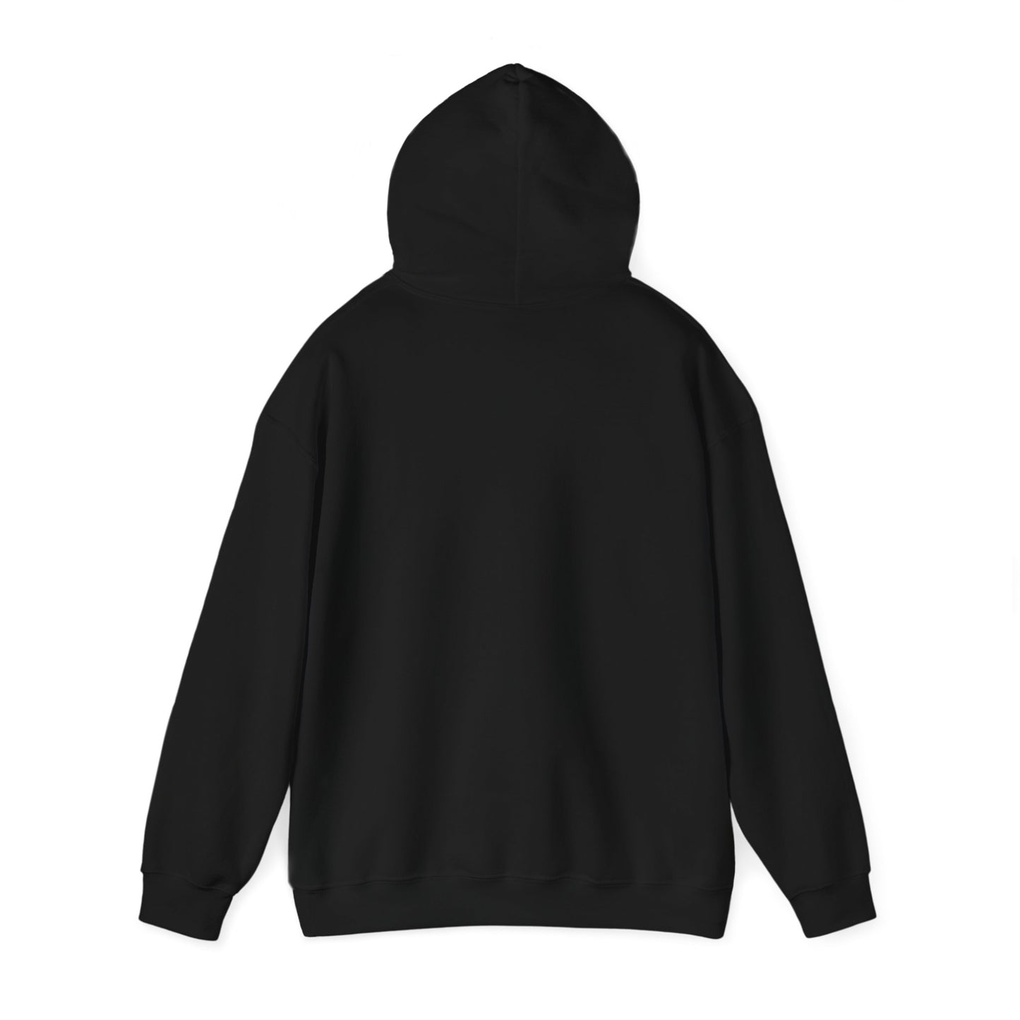 100K Toronto Sports Insider Unisex Hoodie