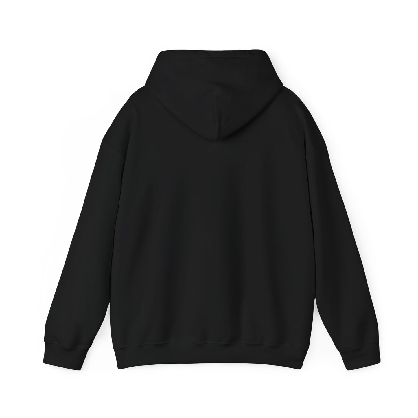 100K Toronto Sports Insider Unisex Hoodie