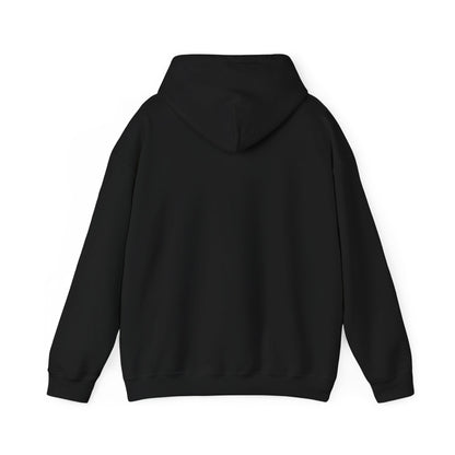 100K Toronto Sports Insider Unisex Hoodie